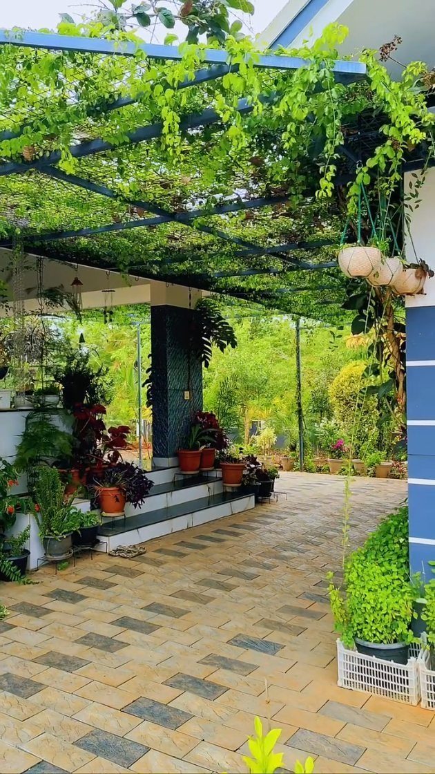 A covered patio with a blue pergola, climbing green vines, and various potted plants on stone pavers.