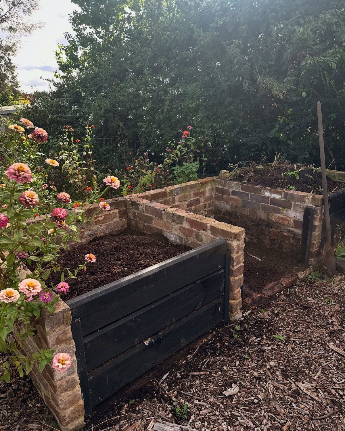 Brick-walled compost bin filled with dark soil, surrounded by pink zinnias and green trees.