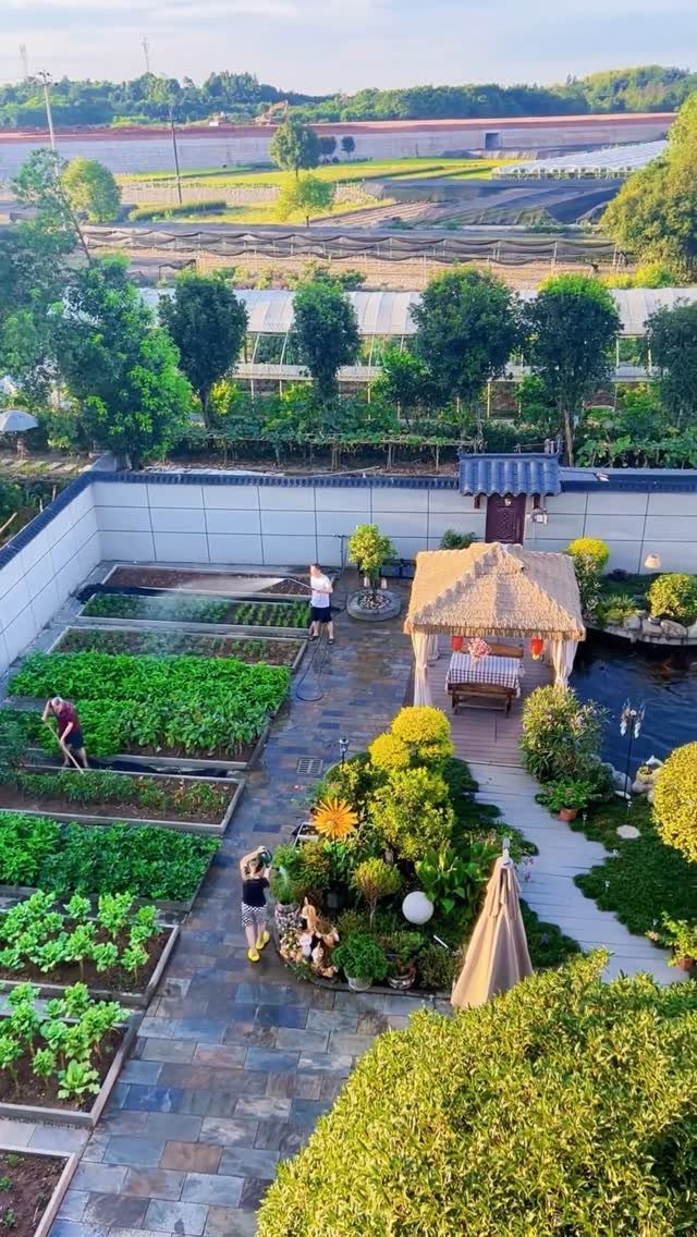 Aerial view of a backyard garden with rectangular vegetable beds and a wooden gazebo.