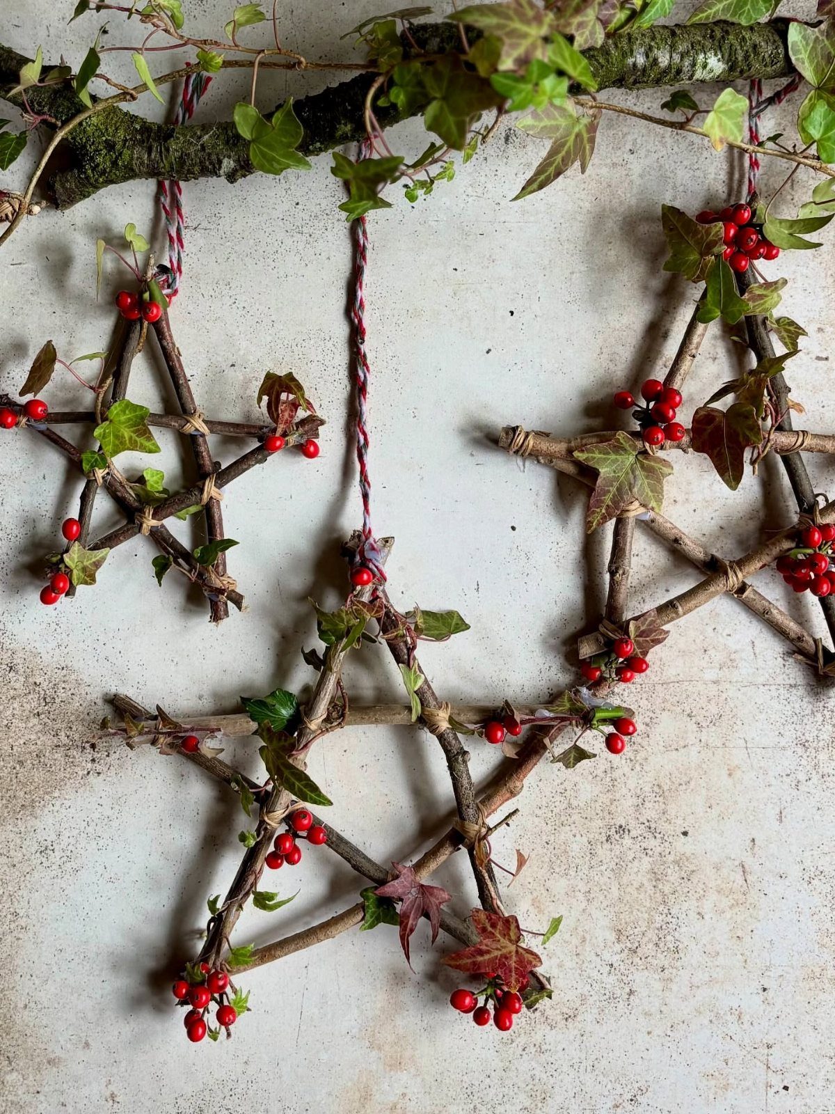 Three twig star decorations with green leaves and red berries hanging from a tree branch.