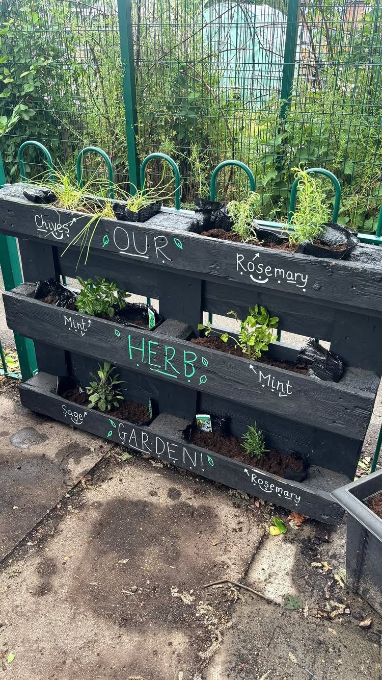 Black wooden pallet planter with various green herbs growing in small black bags outdoors.