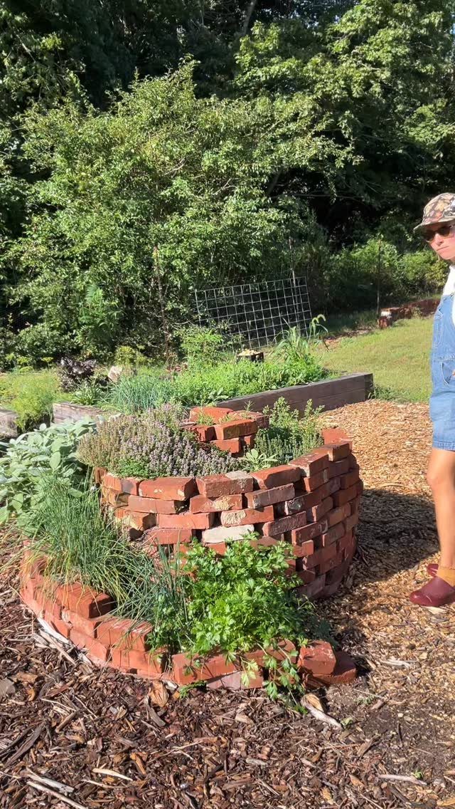 A brick spiral herb garden filled with green plants in a backyard setting.