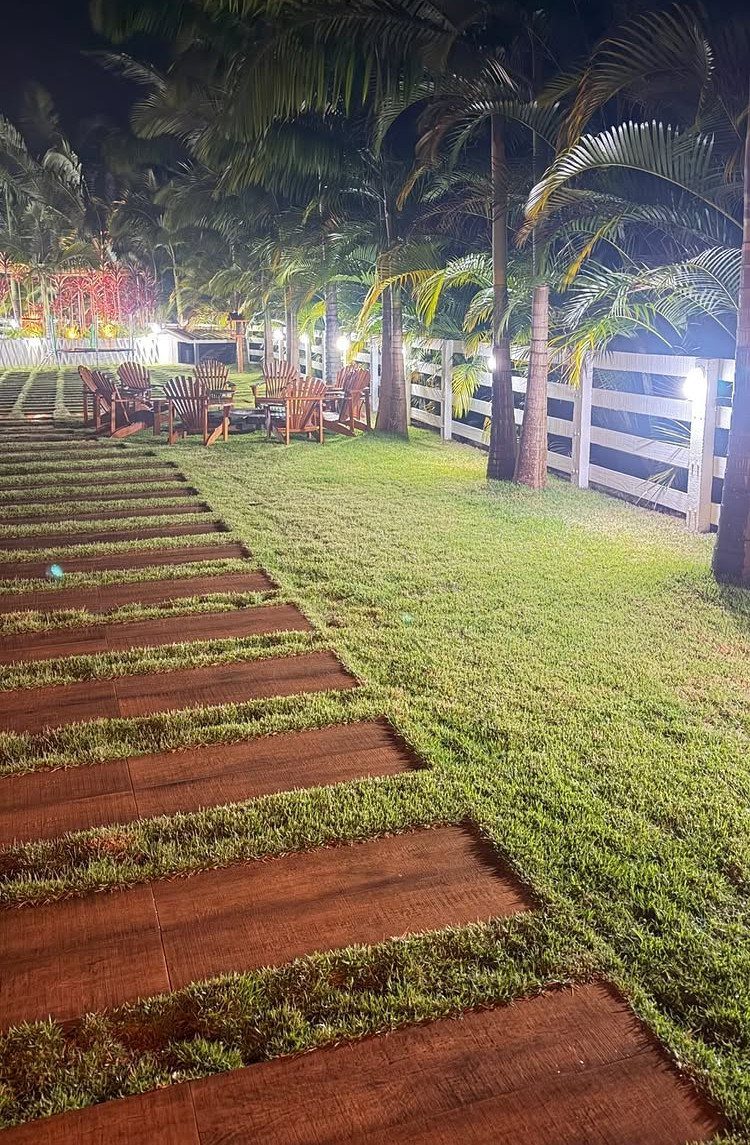 Easy Garden DIY: 18 Projects for a Yard That Feels Finished 17 Wooden planks embedded in a green grass lawn forming a pathway leading toward palm trees.