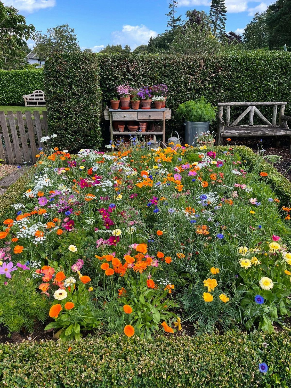 A lush flower garden bed filled with colorful orange, pink, and white blossoms.