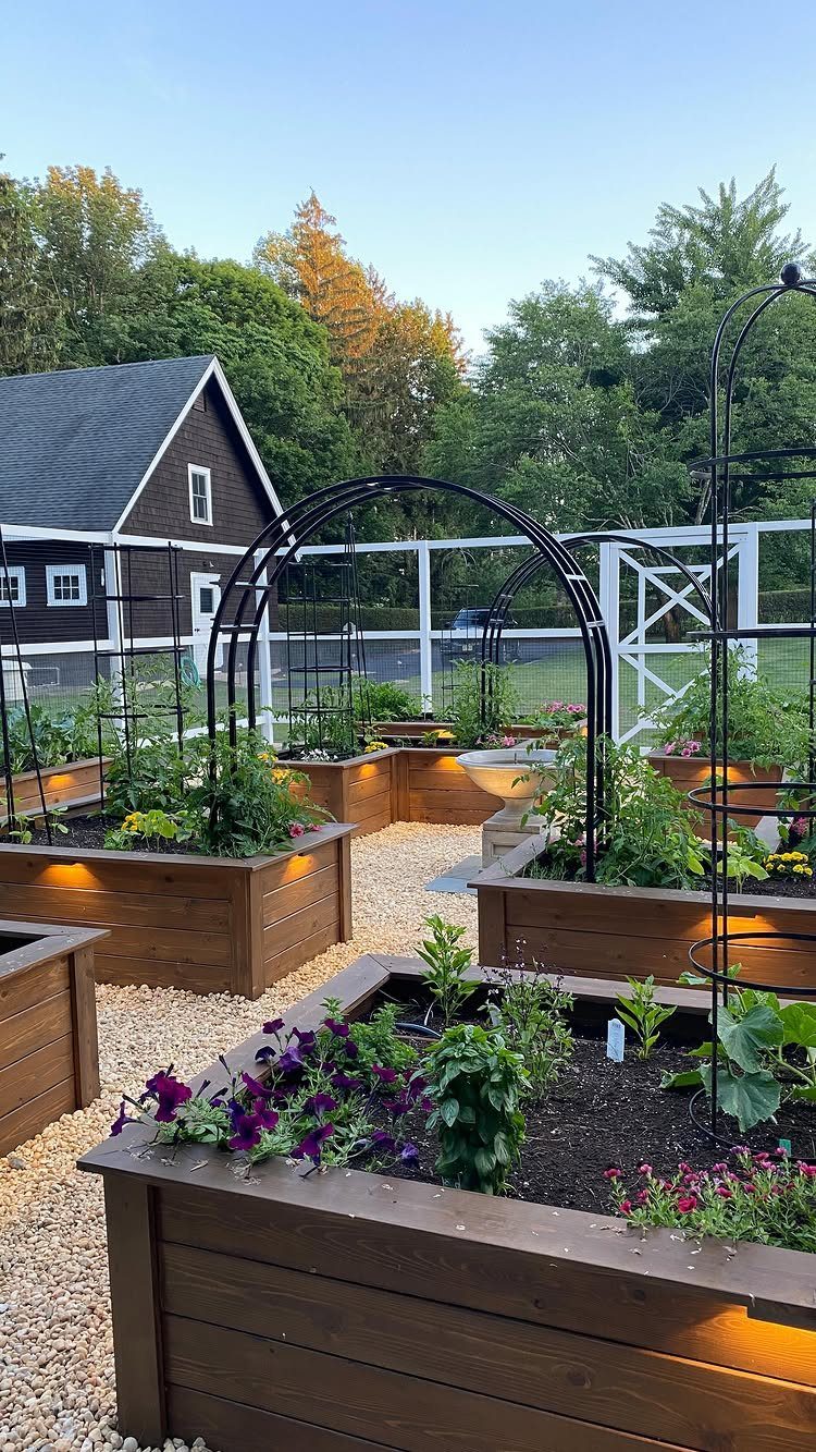 Raised wooden garden beds with various plants and flowers arranged on a gravel path with metal arches.
