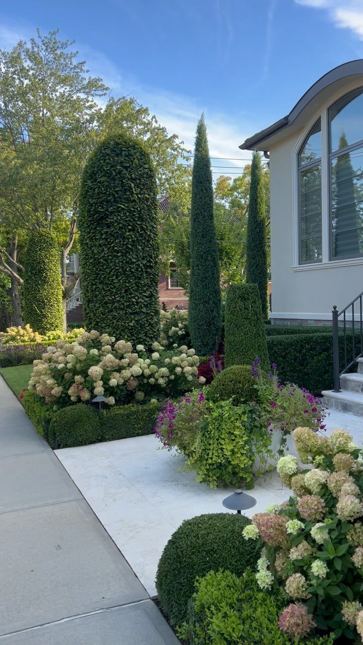 13 Front Yard Bushes and Shrubs for Sun, Shade, and Every Season 1 White hydrangea clusters and tall conical evergreens in a manicured front yard garden landscape.