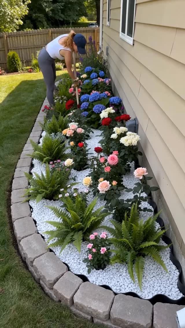 A woman gardening in a long flower bed filled with white gravel, ferns, and colorful hydrangeas.