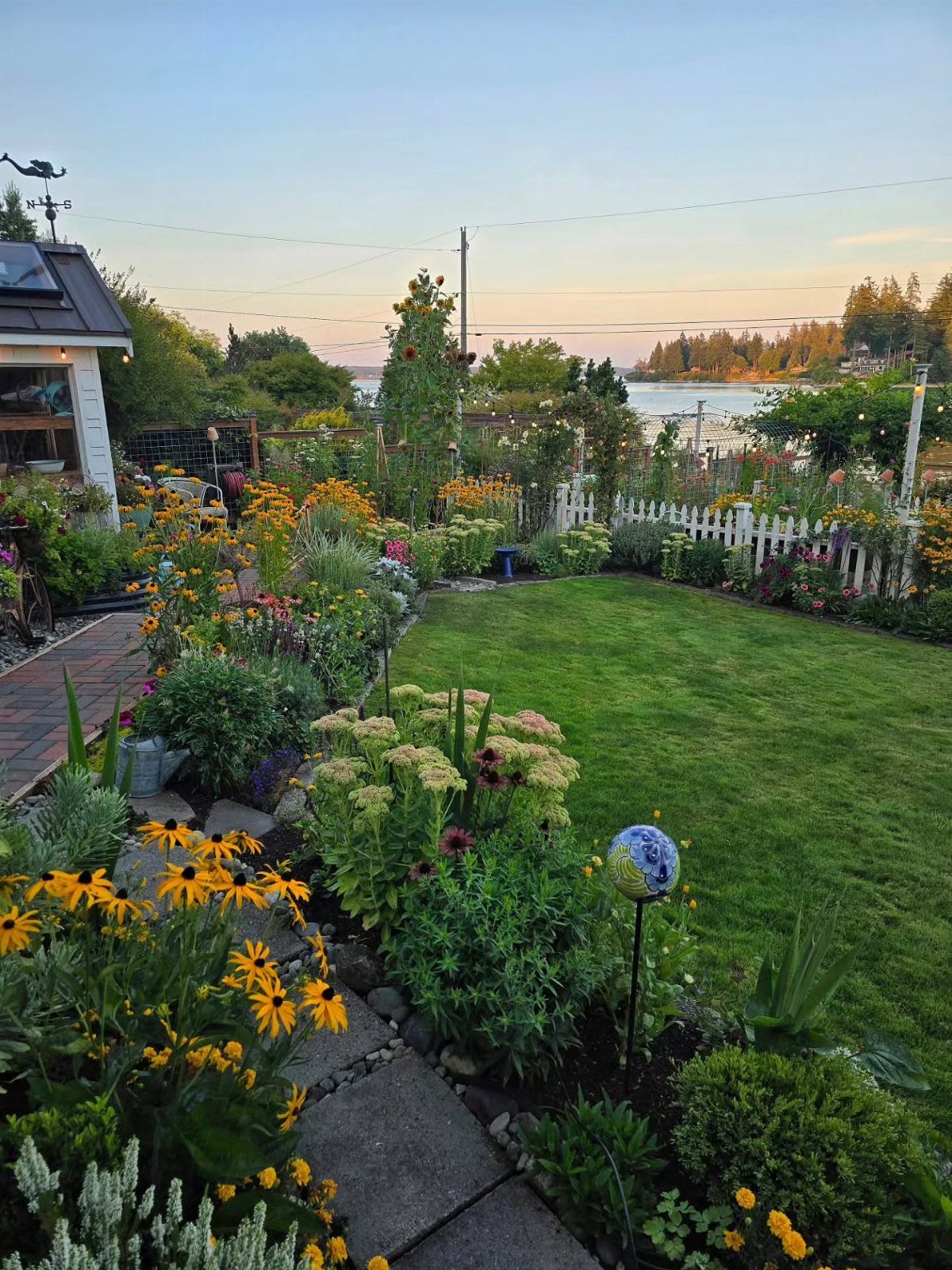 Yellow black-eyed Susans and green garden plants border a manicured lawn near a white picket fence.