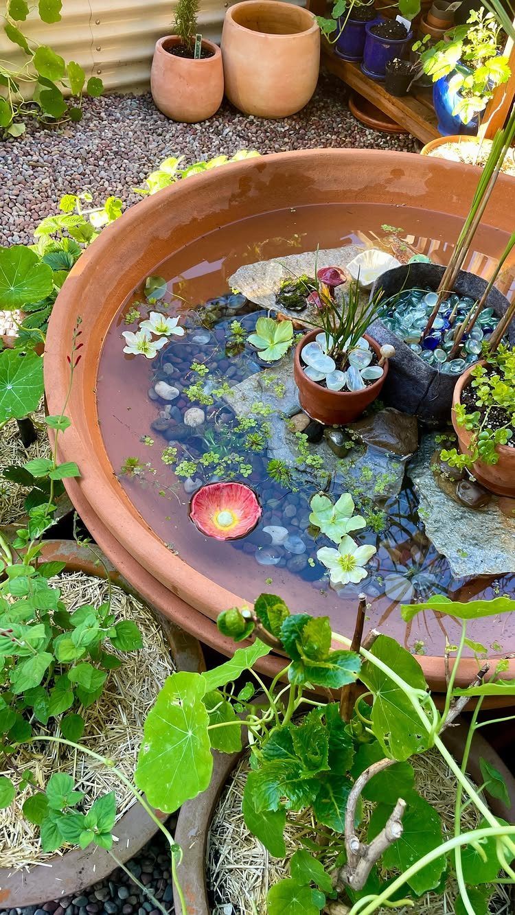 A large terracotta water basin containing stones, aquatic plants, and small potted greenery on gravel.