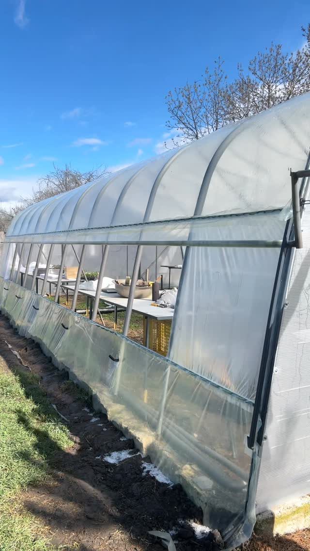 Large Green House: 6 Ideas for Glass, Iron and Modern Builds 6 A large arched greenhouse with translucent plastic walls and metal framing under a blue sky.