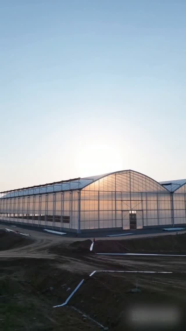 Large Green House: 6 Ideas for Glass, Iron and Modern Builds 1 A large modern greenhouse with a curved translucent roof under a bright sky.
