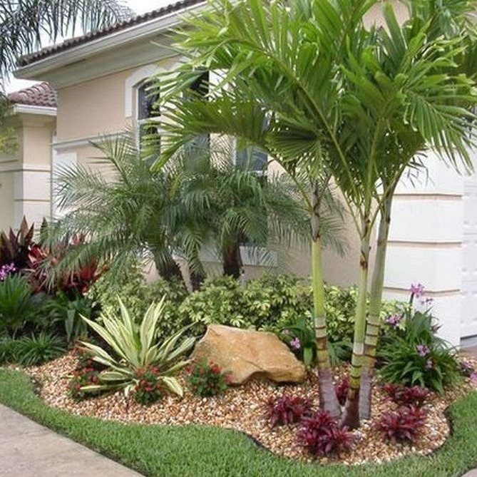 Tropical plants and palm trees arranged in a landscaped garden bed with gravel mulch.