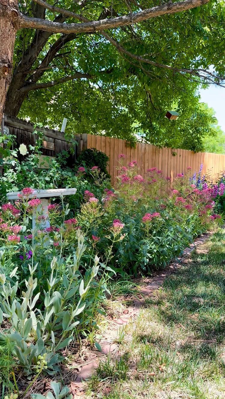 Pink wildflowers and silvery-green plants growing in a lush garden bed along a wooden fence.