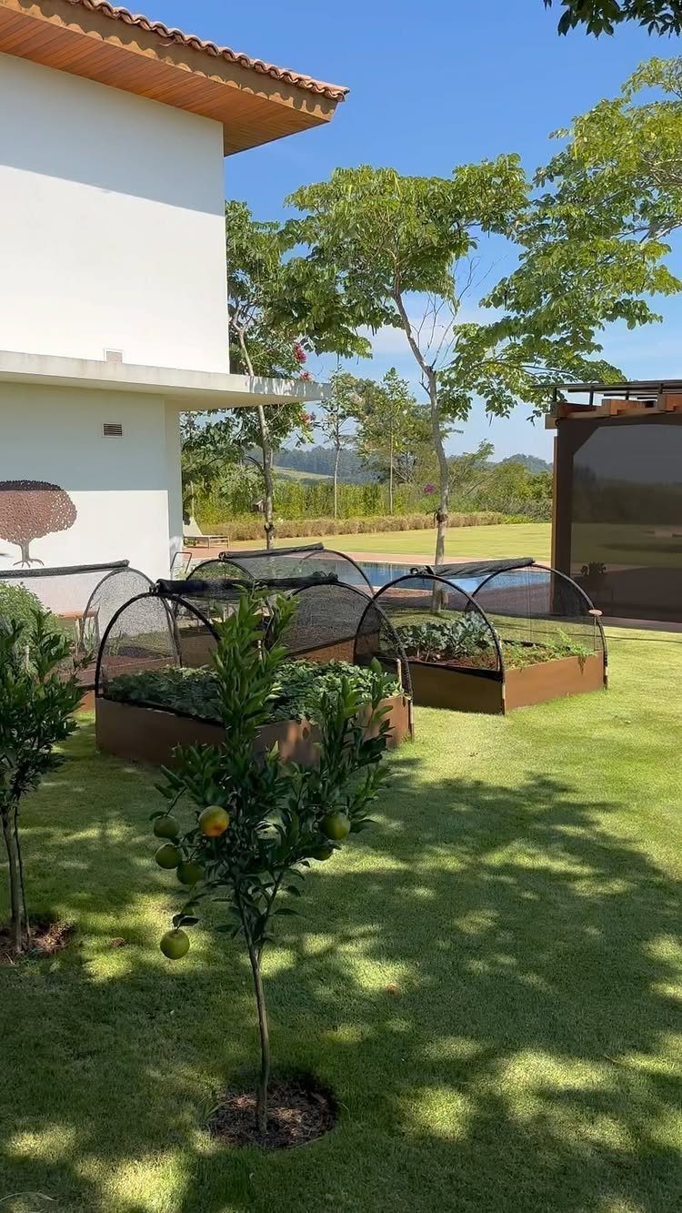 7 Vegetable Garden Box Ideas for Every Backyard Space 5 Raised garden beds with mesh covers sit on a green lawn near a white house.