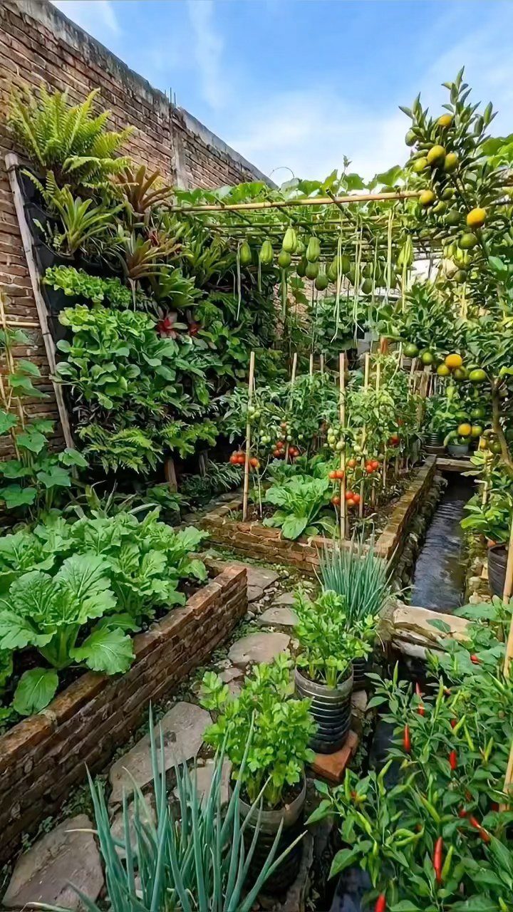 A narrow urban vegetable garden with brick raised beds, climbing plants, and a small stone path.